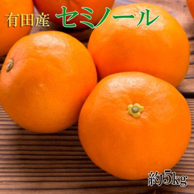 和歌山有田産セミノールオレンジ約5kg(サイズおまかせ 秀品) (九度山町)【1305309】和歌山県九度山町15000果物・フルーツみかん・柑橘類
