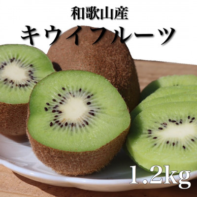 和歌山産 キウイフルーツ 約1.2kg 秀品【1310593】和歌山県九度山町5000果物・フルーツその他 果物・フルーツ
