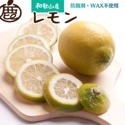 厳選 黒潮レモン3.5kg+105g(傷み補償分)【和歌山有田】【防腐剤・WAX不使用、国産レモン】【配送不可地域:離島・北海道・沖縄】【1320808】和歌山県九度山町10000果物・フルーツみかん・柑橘