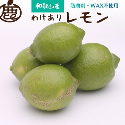 家庭用 黒潮レモン4kg+120g(傷み補償分)【和歌山有田産】【防腐剤・WAX不使用】【訳あり】【配送不可地域:離島・北海道・沖縄】【1320813】和歌山県九度山町10000果物・フルーツみかん・柑橘
