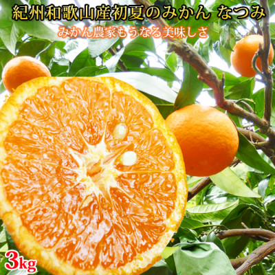 初夏のみかん なつみ3kg【配送不可地域:離島】【1327762】和歌山県九度山町12000果物・フルーツみかん・柑橘類