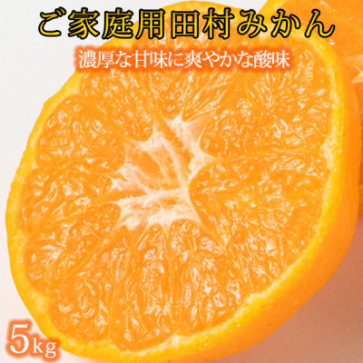 【ご家庭用訳あり】田村みかん 5kg【配送不可地域:離島】【1333871】和歌山県九度山町10000果物・フルーツみかん・柑橘類