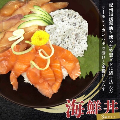 IBݖgT[ƃJp`̒Ђg炷 CN 3Zbg×2 v600gyzsnFzy1335731za̎RxR17000ECY̑ ECY