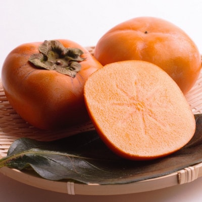 10蔭I˂Ȃ`2kg(ݕ⏞)yEj`(Ђ炽˂Ȃ)zyzsnFEkCEzy1343819za̎RxR8000ʕEt[c̑ ʕ