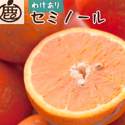 家庭用 セミノールオレンジ5kg+250g(傷み補償分)【春みかん】【訳あり】【光センサー選果】【配送不可地域:離島・北海道・沖縄】【1345415】和歌山県九度山町12000果物・フルーツみかん・柑