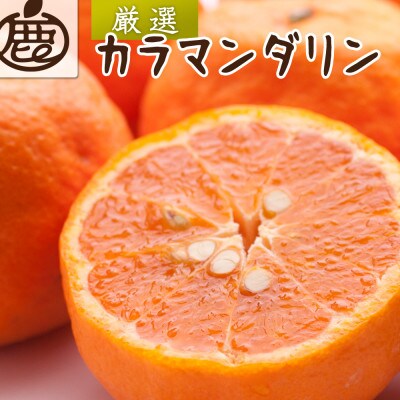 厳選 カラマンダリン5kg+250g(傷み補償分)【南津海・なつみ】【希少な春柑橘】【配送不可地域:離島・北海道・沖縄】【1356049】和歌山県九度山町16000果物・フルーツみかん・柑橘類