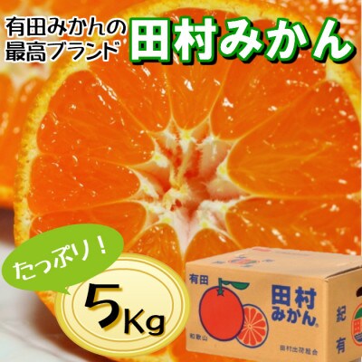 有田の高級ブランド「田村みかん」秀品5kg【12月発送分】S〜Lサイズ【1356415】和歌山県九度山町17000果物・フルーツみかん・柑橘類