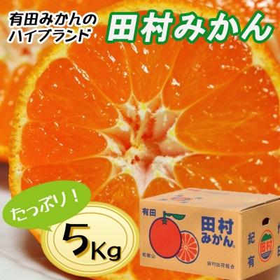 有田の高級ブランド「田村みかん」秀品5kg【1月発送分】S〜Lサイズ【1356425】和歌山県九度山町17000果物・フルーツみかん・柑橘類
