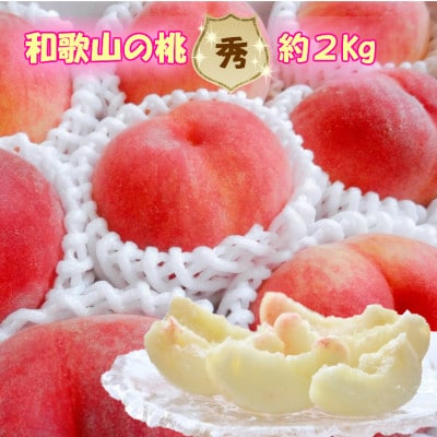 yGizMtgAiɂ!a̎Ruh2kg!@8ȍ~yzsnFzy1382517za̎RxR15000ʕEt[cE