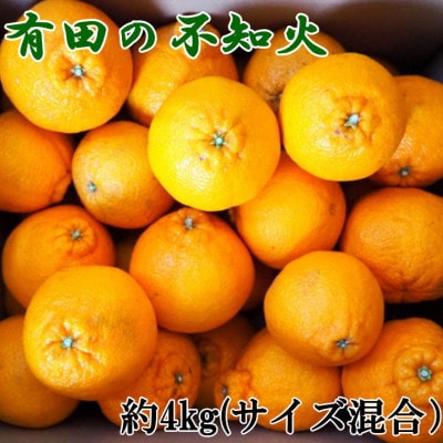 【濃厚】有田産不知火約4kg(M〜3Lサイズ混合)(九度山町)【1410297】和歌山県九度山町14000果物・フルーツみかん・柑橘類