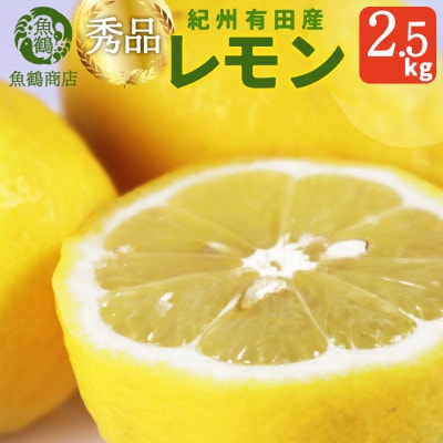 秀品 紀州有田産レモン 2.5kg【1414740】和歌山県九度山町15000果物・フルーツみかん・柑橘類