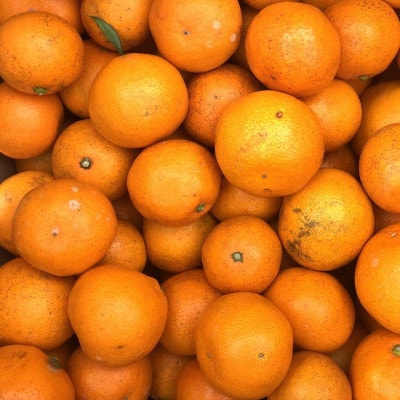 (訳あり)有田産完熟極早生みかん約10kg(サイズ混合)【九度山町】【1438167】和歌山県九度山町10000果物・フルーツみかん・柑橘類