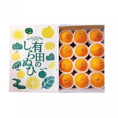 【まごころ手選別】和歌山産 有田のしらぬひ 化粧箱(フルーツキャップ付き)Lサイズ12個入り【1457262】和歌山県九度山町16000果物・フルーツみかん・柑橘類