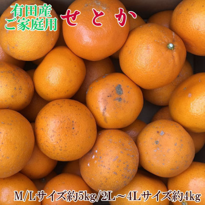 (訳あり・ご家庭用)一度は食べていただきたい「有田産のせとか」約4kg〜5kg【九度山町】【1462765】和歌山県九度山町17000果物・フルーツみかん・柑橘類