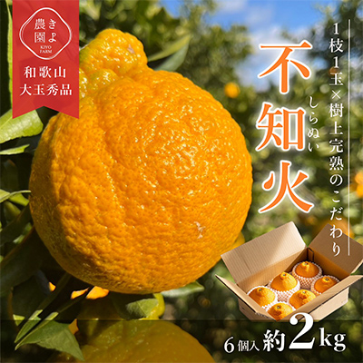 先行受付 不知火 希少な樹上完熟! 秀品大玉 6個入【1482688】和歌山県九度山町10000果物・フルーツみかん・柑橘類