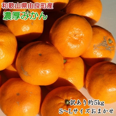 【訳あり・ご家庭用】和歌山由良町産のみかん約5kg(九度山町)【1486284】和歌山県九度山町10000果物・フルーツみかん・柑橘類