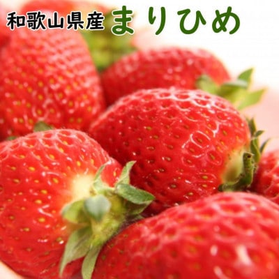 2026N3菇a̎RYuhu܂Ђ߁v300g×2pbN(xR)yzsnFEkCEzy1488675za̎RxR9000ʕEt[c