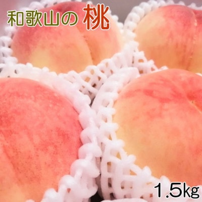 yYElC̓Yiza̎R̓@14ʁ`6ʓ(1.5kg)@(xR)yzsnFEkCEzy1492665za̎RxR12000ʕEt[cE