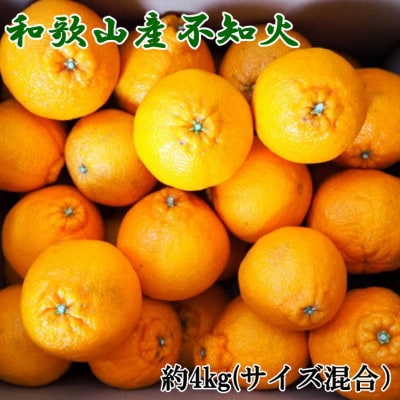 和歌山県産不知火約4kg(サイズ混合)(九度山町)【1493797】和歌山県九度山町12000果物・フルーツみかん・柑橘類