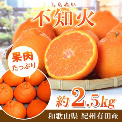 紀州有田産不知火(しらぬひ) 2.5kg【1495539】和歌山県九度山町10000果物・フルーツみかん・柑橘類