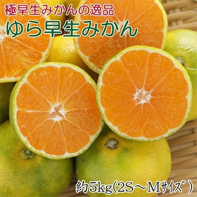 【極早生みかんの逸品】和歌山県産ゆら早生みかん約5kg(秀品)【九度山町】【1496588】和歌山県九度山町12000果物・フルーツみかん・柑橘類