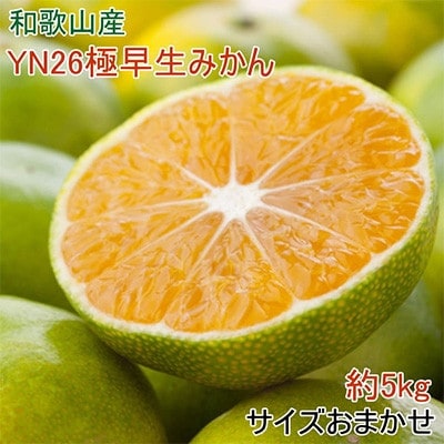 【産直】YN26極早生みかん約5kg(2S〜Mサイズおまかせ)【九度山町】【配送不可地域:離島】【1496624】和歌山県九度山町12000果物・フルーツみかん・柑橘類