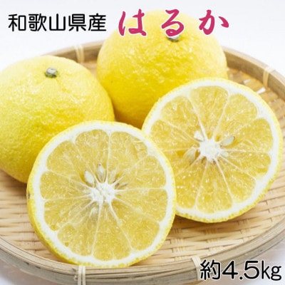 【さわやか柑橘】和歌山県産はるかみかん約4.5kg(サイズ混合 秀品)【九度山町】【1500816】和歌山県九度山町10000果物・フルーツみかん・柑橘類