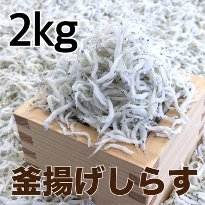 g炷2kg(500g×4pbN)yzsnFEkCEzy1500973za̎RxR28000ECY̑ ECY