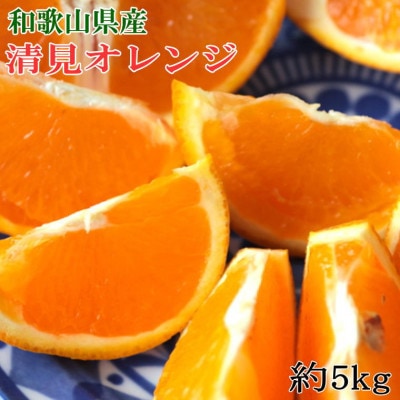 和歌山県産清見オレンジ約5kg(サイズ混合)【九度山町】【1503412】和歌山県九度山町12000果物・フルーツみかん・柑橘類