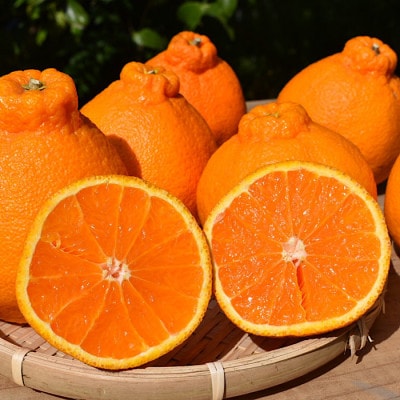 和歌山県産 不知火 【約12玉〜20玉】 秀品【1508236】和歌山県九度山町15000果物・フルーツみかん・柑橘類