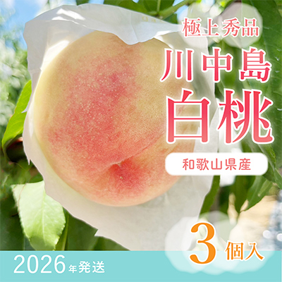 st!@y쒆zʓGi@Hׂ₷3@_ƌI!yzsnFzy1524938za̎RxR12000ʕEt[cE