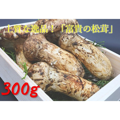 @300g@ya̎RYz荂󏭂ȍY!yzsnFEkCEzy1526654za̎RxR150000؁Ê̂