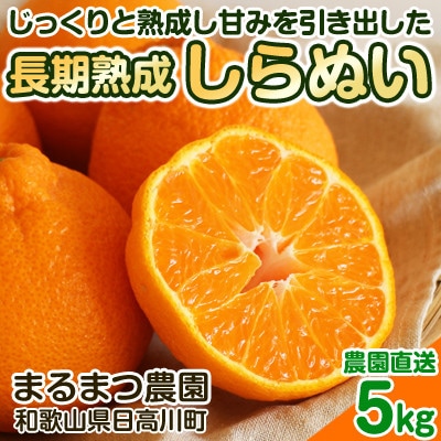 【2026年5月順次発送】濃厚なコクと甘さ 長期熟成しらぬい 5kg 農家直送 和歌山県産【1553363】和歌山県九度山町23000果物・フルーツみかん・柑橘類