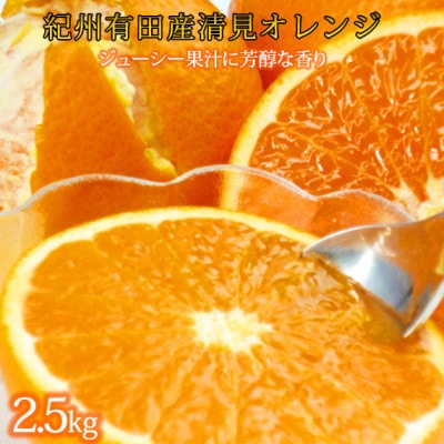 とにかくジューシー清見オレンジ 2.5kg【1560366】和歌山県九度山町10000果物・フルーツみかん・柑橘類