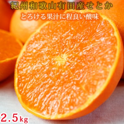 とろける食感!ジューシー柑橘 せとか 約2.5kg【1596906】和歌山県九度山町17000果物・フルーツみかん・柑橘類