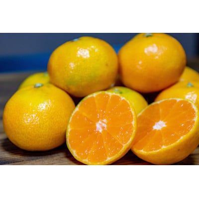 【2025年10月より順次発送】森本農園の小粒極早生みかん 家庭用 6kg【1624231】和歌山県九度山町10000果物・フルーツみかん・柑橘類