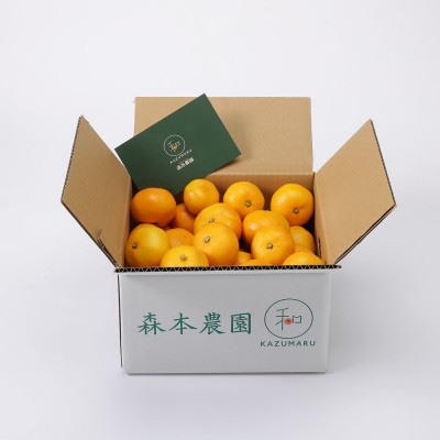 【2026年2月より順次発送】森本農園の小粒濃厚清見オレンジ 家庭用 8kg【1624262】和歌山県九度山町14000果物・フルーツみかん・柑橘類