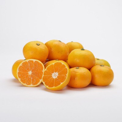 【2025年11月より順次発送】森本農園の小粒濃厚みかん 家庭用 1.5kg【1624353】和歌山県九度山町6000果物・フルーツみかん・柑橘類