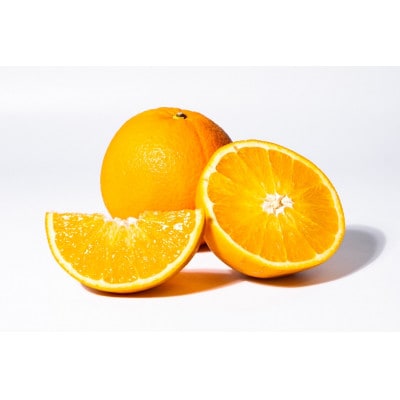 y2026N1菇zX{_̖ؐʃl[uIW@ƒp@4kgy1624971za̎RxR8000ʕEt[c݂Ek