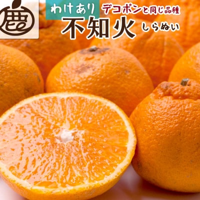 家庭用 不知火5kg+250g(傷み補償分)【デコポンと同品種・人気の春みかん】【訳あり】【配送不可地域:離島・北海道・沖縄】【1634106】和歌山県九度山町15000果物・フルーツみかん・柑橘類