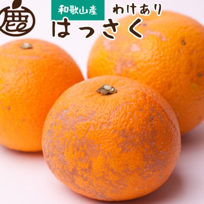 家庭用 はっさく2.5kg+250g(傷み補償分)【八朔みかん】【光センサー選別】【訳あり】【配送不可地域:離島・北海道・沖縄】【1646225】和歌山県九度山町8000果物・フルーツみかん・柑橘類