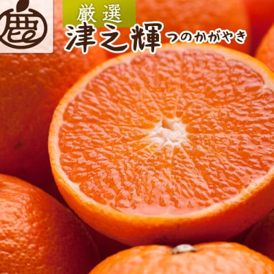 厳選 津之輝5kg+250g(傷み補償分)【つのかがやき】【せとかに似た柑橘】【光センサー選果】【配送不可地域:離島・北海道・沖縄】【1648799】和歌山県九度山町27000果物・フルーツみかん・柑