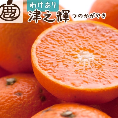 家庭用 津之輝1kg+250g(傷み補償分)【訳あり】【つのかがやき】【せとかに似た柑橘】【配送不可地域:離島・北海道・沖縄】【1648801】和歌山県九度山町8000果物・フルーツみかん・柑橘類