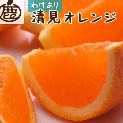 家庭用 清見5kg+250g(傷み補償分)【光センサー選果】【訳あり】【樹上完熟きよみオレンジ】【配送不可地域:離島・北海道・沖縄】【1649784】和歌山県九度山町16000果物・フルーツみかん・柑