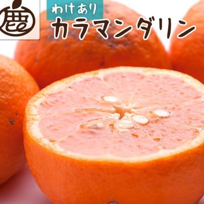 家庭用 カラマンダリン1kg+250g(傷み補償分)【南津海・なつみ】【希少な春柑橘】【訳あり】【配送不可地域:離島・北海道・沖縄】【1653522】和歌山県九度山町6000果物・フルーツみかん・柑