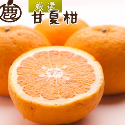 厳選 甘夏柑2.5kg+250g(傷み補償分)【初夏のみかん・旬の果物】【有田産】【光センサー出荷】【配送不可地域:離島・北海道・沖縄】【1653918】和歌山県九度山町8000果物・フルーツみかん・柑