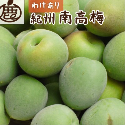 家庭用 紀州南高梅(青梅)1kg+250g(傷み補償分)【梅干し・梅ジュースに◎】【訳あり】【配送不可地域:離島・北海道・沖縄】【1662216】和歌山県九度山町7000果物・フルーツその他 果物・フル