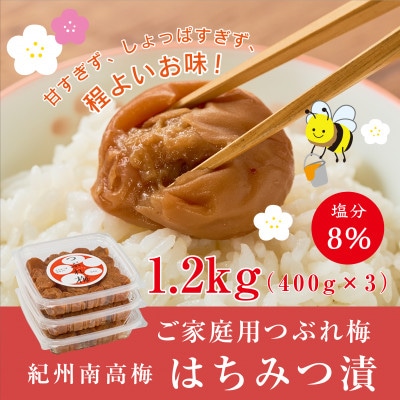 紀州南高梅つぶれ梅 はちみつ漬 400g×3パック 塩分8%【1662482】和歌山県九度山町12000鍋セット・総菜・加工食品漬物・梅干・キムチ
