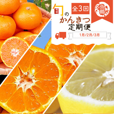【発送月固定定期便】紀州和歌山産旬のフルーツセット(みかん・不知火・レモン)全3回【4005196】和歌山県九度山町43000果物・フルーツみかん・柑橘類