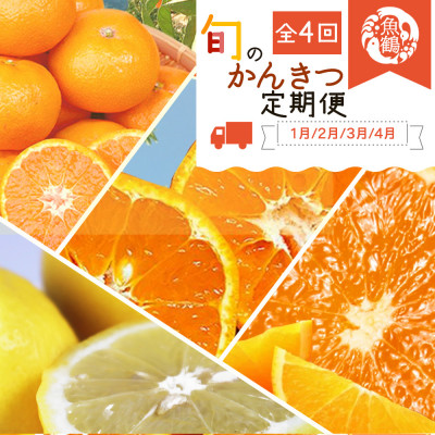 【発送月固定定期便】紀州和歌山産旬のフルーツセット(みかん・不知火・レモン・清見)全4回【4005197】和歌山県九度山町58000果物・フルーツみかん・柑橘類